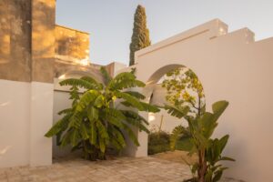 Benesse Home Puglia - Palazzo Pappada ingresso